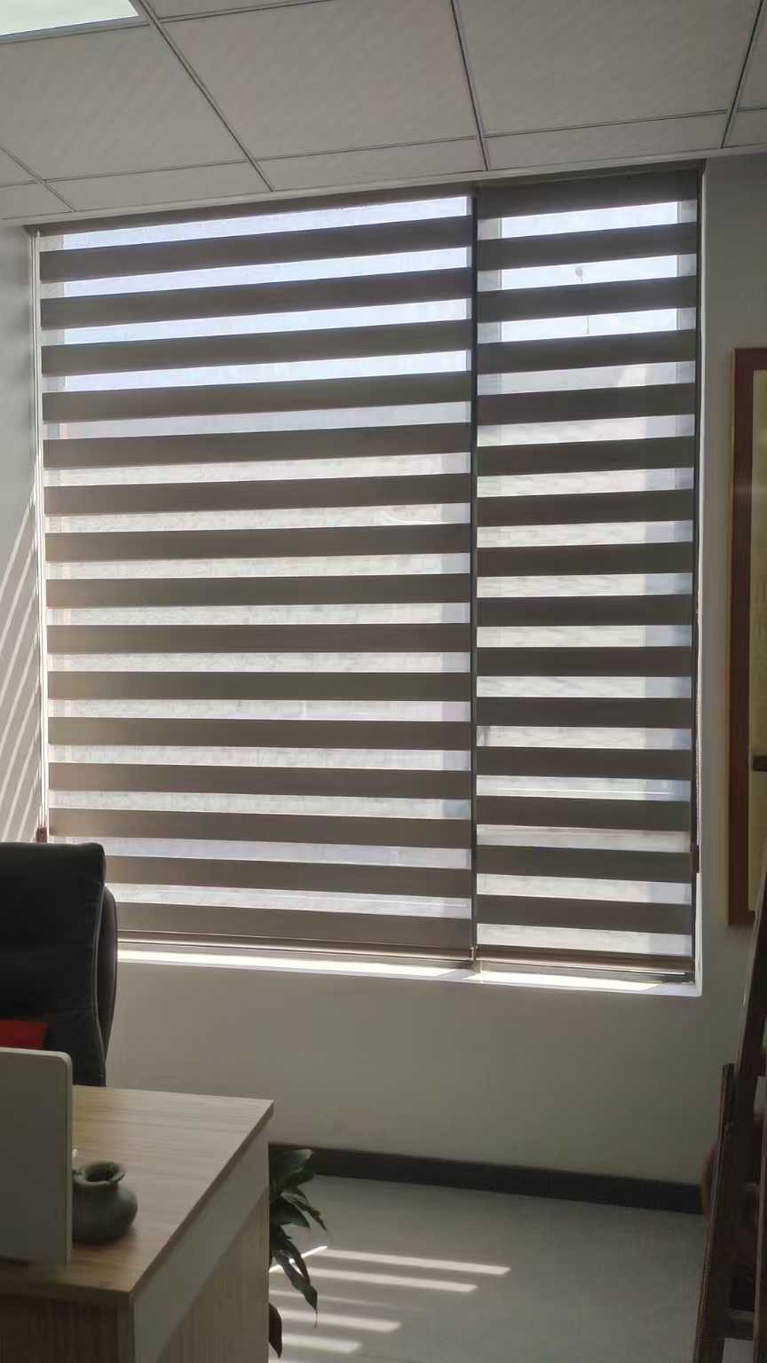 Zebra Blinds